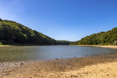 Sariyer, İstanbul, 13 Ağustos 2019. Belgrad Ormanı 'ndaki ağaçlar arasında gölet. Yaz mevsiminde doğal afet..