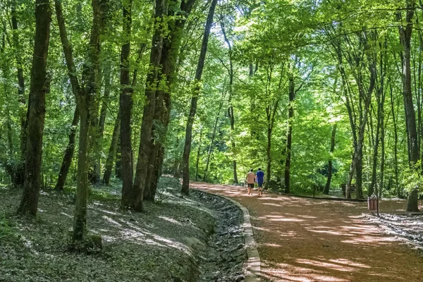 サリア イスタンブール トルコ アウグスト18 2019夏のシーズンには 6キロのランニングとハイキングの道ベルグラードの森とイスタンブールの緑の自然 — ストック写真