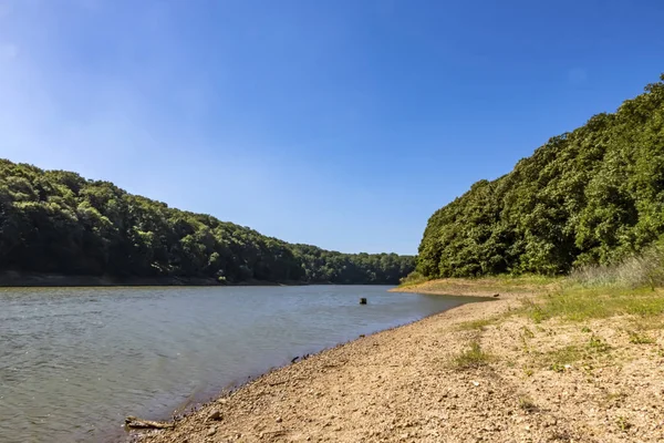 Sariyer, İstanbul, 13 Ağustos 2019. Belgrad Ormanı 'ndaki ağaçlar arasında gölet. Yaz mevsiminde doğal afet..