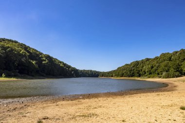 Sariyer, İstanbul, 13 Ağustos 2019. Belgrad Ormanı 'ndaki ağaçlar arasında gölet. Yaz mevsiminde doğal afet..