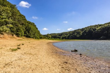 Sariyer, İstanbul, 13 Ağustos 2019. Belgrad Ormanı 'ndaki ağaçlar arasında gölet. Yaz mevsiminde doğal afet..