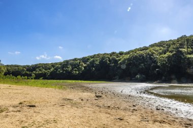 Sariyer, İstanbul, 13 Ağustos 2019. Belgrad Ormanı 'ndaki ağaçlar arasında gölet. Yaz mevsiminde doğal afet..