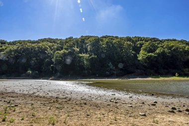 Sariyer, İstanbul, 13 Ağustos 2019. Belgrad Ormanı 'ndaki ağaçlar arasında gölet. Yaz mevsiminde doğal afet..