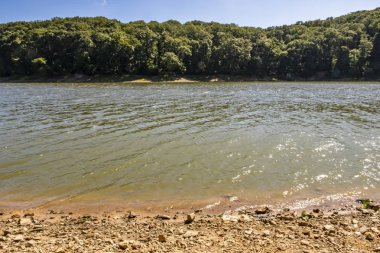 Sariyer, İstanbul, 13 Ağustos 2019. Belgrad Ormanı 'ndaki ağaçlar arasında gölet. Yaz mevsiminde doğal afet..