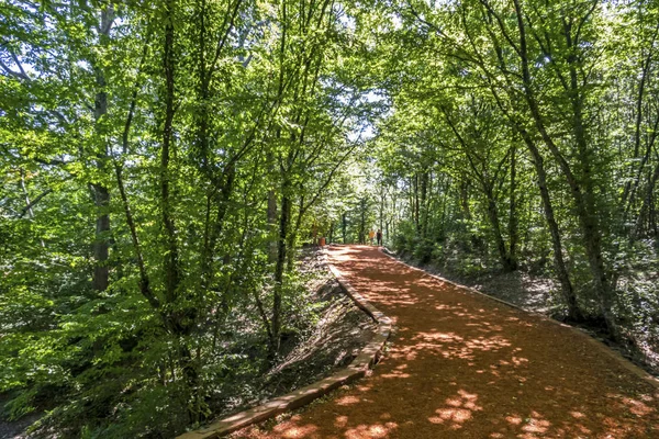 Sariyer Istanbul Turkey Augus Six Kilometre Running Hiking Path Belgrad — стоковое фото