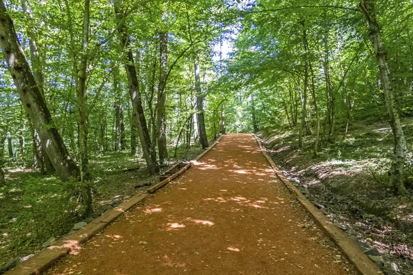 サリア イスタンブール トルコ アウグスト18 2019夏のシーズンには 6キロのランニングとハイキングの道ベルグラードの森とイスタンブールの緑の自然 — ストック写真