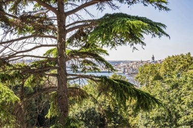 sarayburnu, istanbul, hindi-ağustos 3.2019 eski şehirle görkemli İstanbul manzarası ve yaz mevsiminde Sarayburnu 'ndaki Topkapı Sarayı' ndan tarihi binalar..