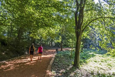 Sariyer, İstanbul, Hindi-augus 18,2019 Belgrad Ormanı 'nda altı kilometre koşu ve yürüyüş yolu ve yaz mevsiminde İstanbul' da yeşil doğa..
