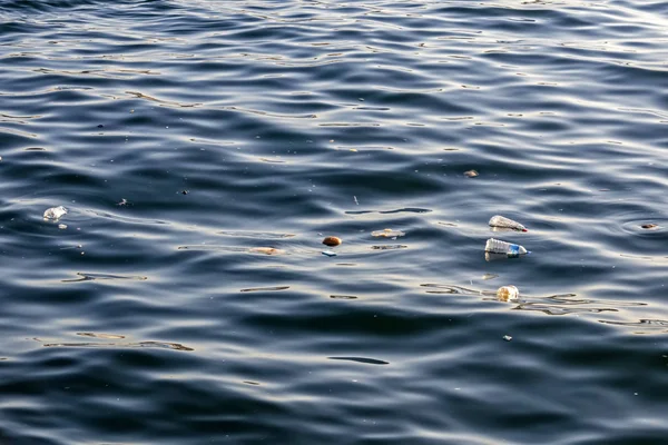 Istanbul Pavo Junio 2019 Contaminación Ambiental Residuos Mar Mármara Estambul — Foto de Stock