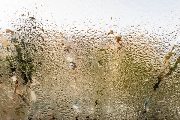 Regn Droppar Ett Fönster — Stockfoto
