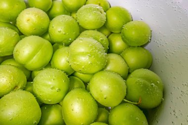 Suda yıkanmış yeşil erikler