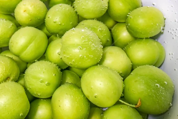 washed green plums in water