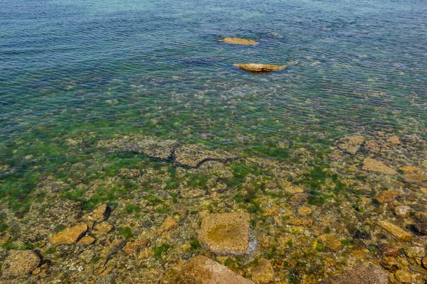 Klippen Meer Und Algen — Stockfoto