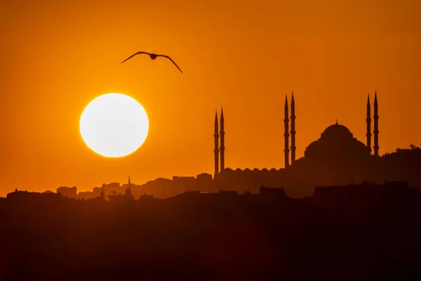 在伊斯坦布尔的日出和清真寺轮廓 — 图库矢量图片
