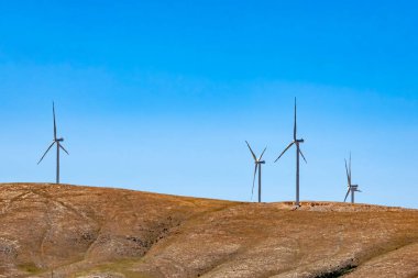 Doğada yenilenebilir rüzgar gücü