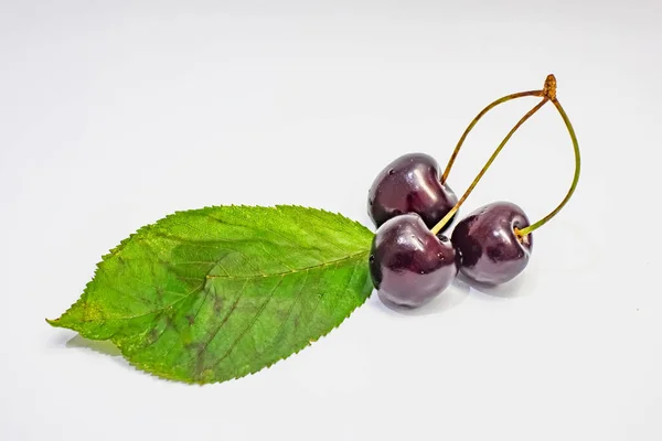 Cerezas Rojas Sobre Fondo Blanco —  Fotos de Stock