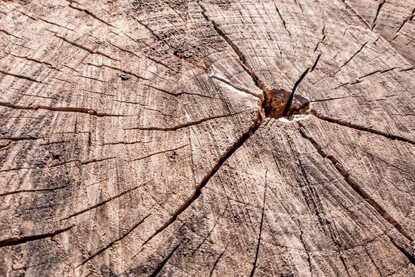 Zbliżyć Stare Drewno Tekstury Tła — Zdjęcie stockowe