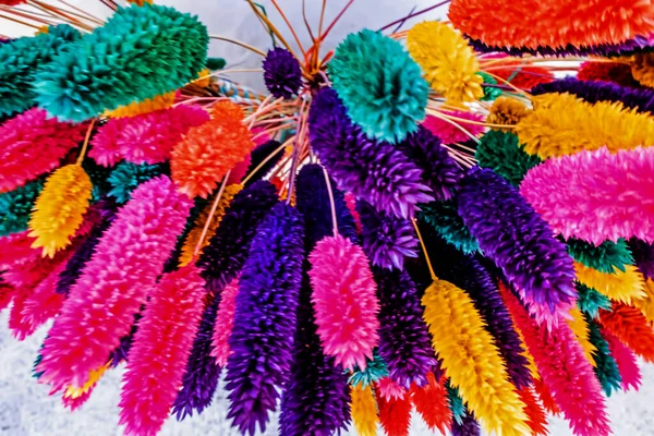 Nahaufnahme Farbenfroher Getrockneter Blumen — Stockfoto