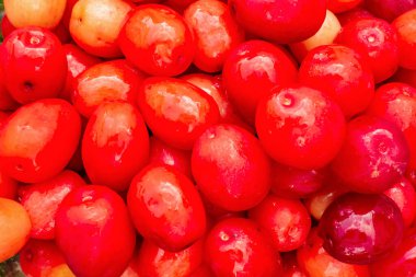 Markette kızılcık meyvesi.