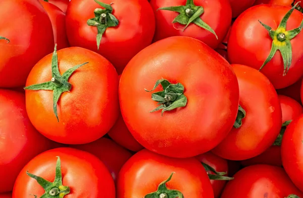 Cerrar Los Tomates Mercado —  Fotos de Stock