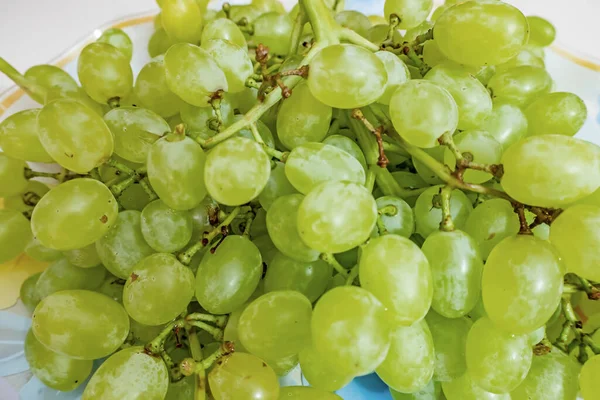 Cerrar Racimos Uvas Blancas Plato — Foto de Stock