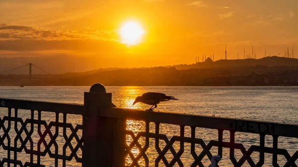 Istanbul Turkey August City Life Cityscape Istanbul Summer Season Morning — Stok Foto