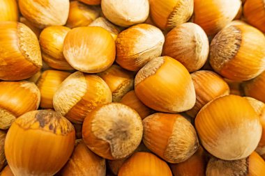 Tabaktaki kabuklu fındıkları kapat.