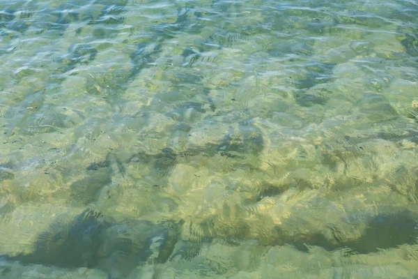 Yaz Mevsiminde Arka Planda Deniz Manzarası — Stok fotoğraf