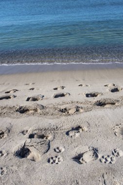 Yaz mevsiminde arka planda deniz manzarası