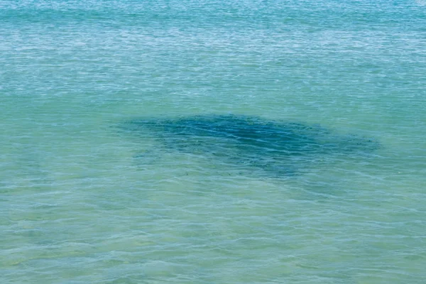 夏は海岸からの海の景色を背景に — ストック写真