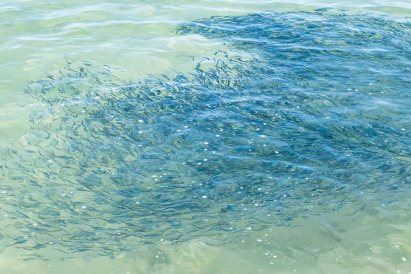 Yaz mevsiminde arka planda deniz manzarası