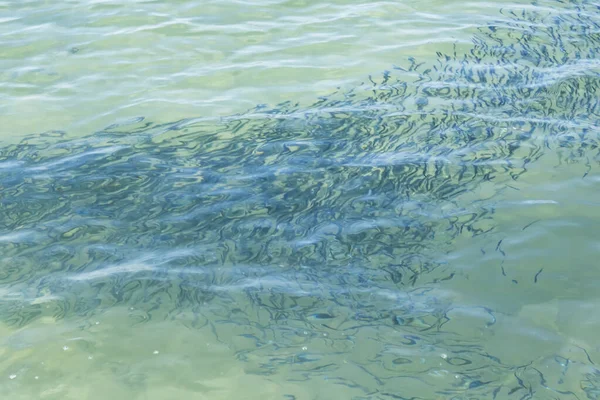 Yaz mevsiminde arka planda deniz manzarası