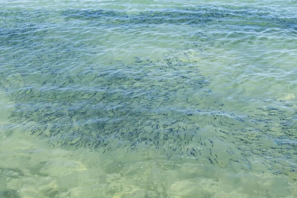 Paisaje Marino Orilla Del Mar Temporada Verano Para Fondo — Foto de Stock