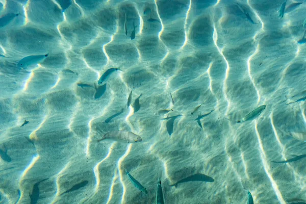 Zeegezicht Van Kust Zomer Seizoen Voor Achtergrond — Stockfoto