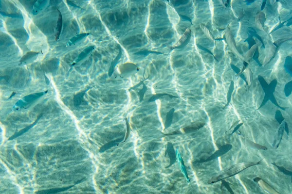 Pemandangan Laut Dari Pantai Laut Musim Panas Untuk Latar Belakang — Stok Foto