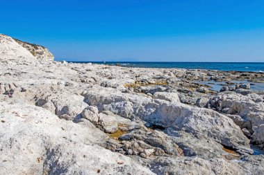 Yaz mevsiminde arka planda deniz manzarası