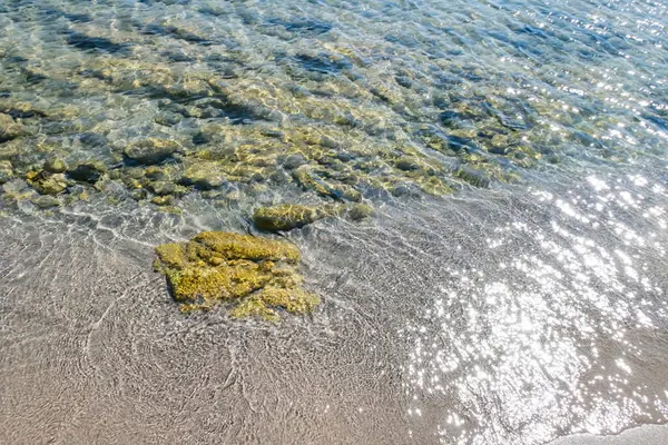 夏は海岸からの海の景色を背景に — ストック写真