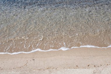 Yaz mevsiminde arka planda deniz manzarası