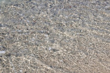 Yaz mevsiminde arka planda deniz manzarası