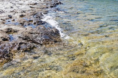 Yaz mevsiminde arka planda deniz manzarası