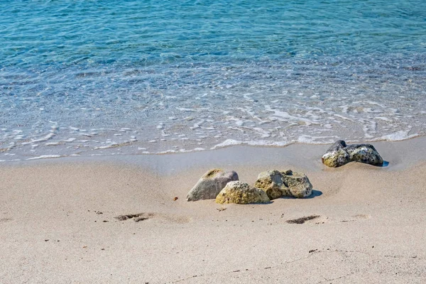 Yaz mevsiminde arka planda deniz manzarası