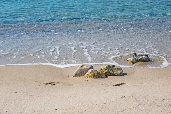 Yaz mevsiminde arka planda deniz manzarası