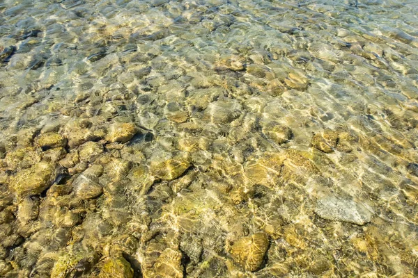 Yaz mevsiminde arka planda deniz manzarası