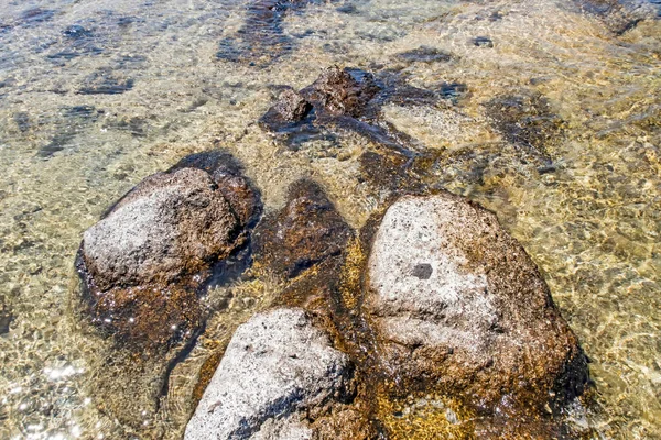 夏は海岸からの海の景色を背景に — ストック写真