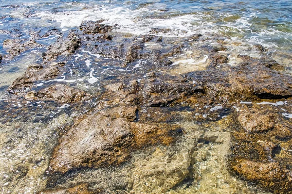 Yaz mevsiminde arka planda deniz manzarası
