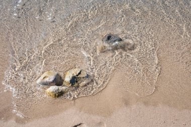 Yaz mevsiminde arka planda deniz manzarası