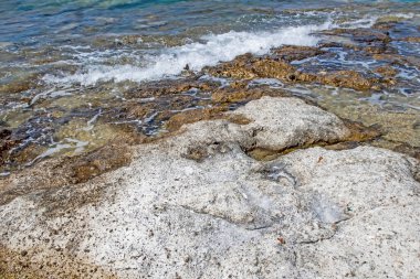 Yaz mevsiminde arka planda deniz manzarası