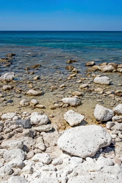Yaz mevsiminde arka planda deniz manzarası