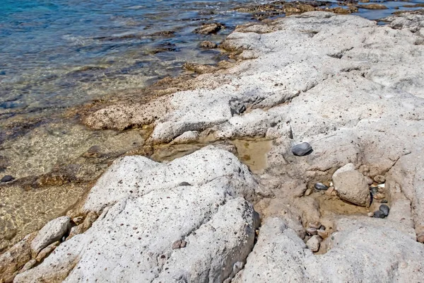 夏は海岸からの海の景色を背景に — ストック写真