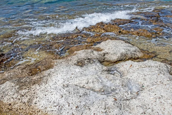 Seascape Sea Shore Summer Season Background — Stock Photo, Image